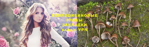 тгк Алзамай