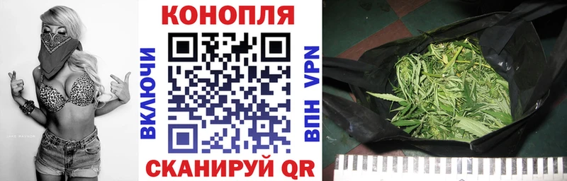 Марихуана OG Kush  наркотики  Петушки 
